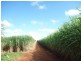 North Isis QLD 4660