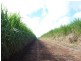 North Isis QLD 4660