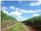 North Isis QLD 4660