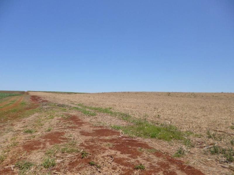 North Isis QLD 4660