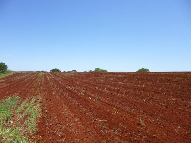 North Isis QLD 4660