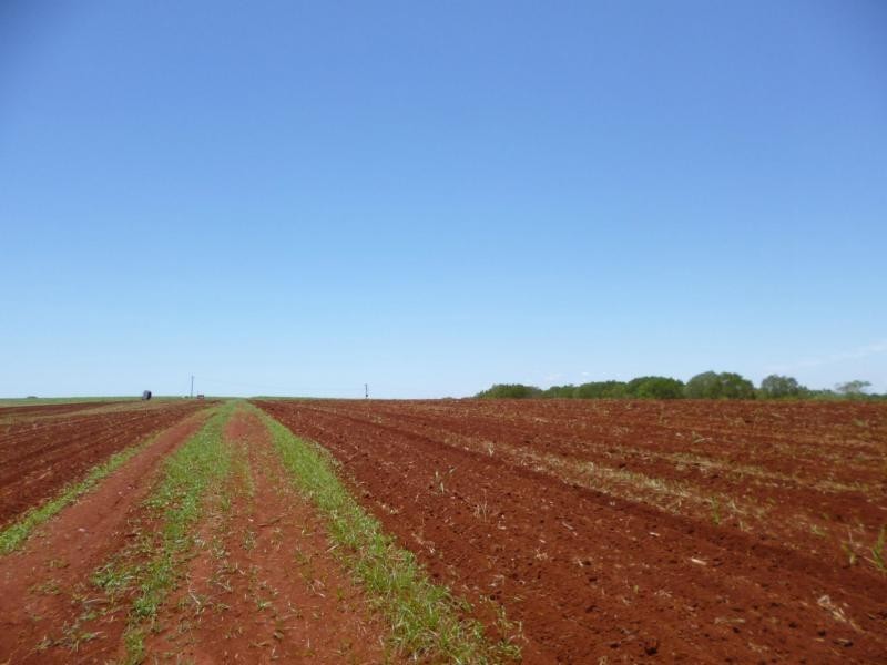 North Isis QLD 4660