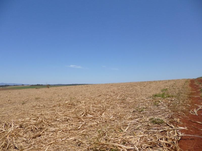North Isis QLD 4660