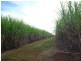 Isis Central QLD 4660