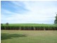 Isis Central QLD 4660