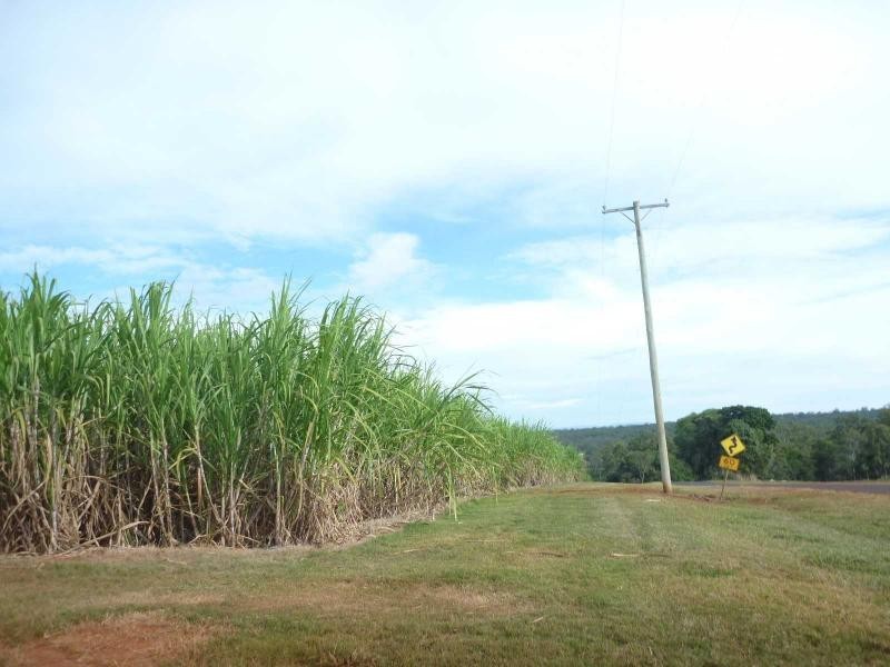 Isis Central QLD 4660