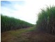 Isis Central QLD 4660