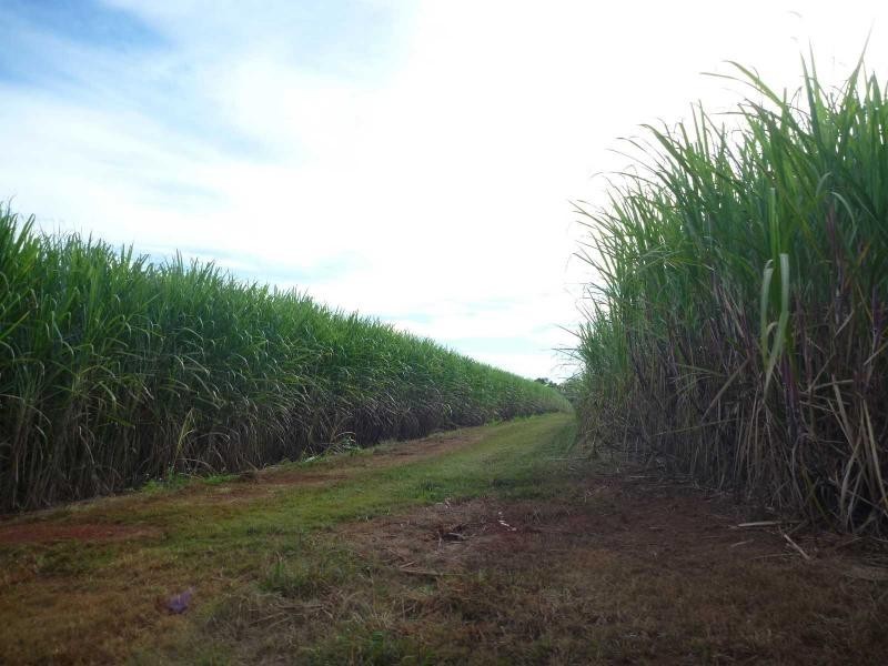 Isis Central QLD 4660