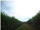 Isis Central QLD 4660