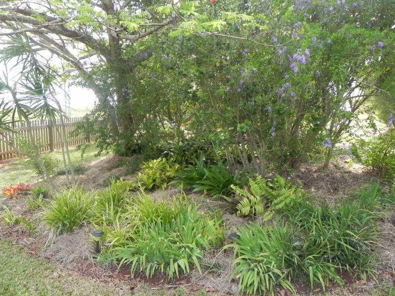 11 Redridge Crescent, Redridge QLD 4660