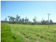 Redridge QLD 4660