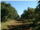 87 Gorries Road, Childers QLD 4660