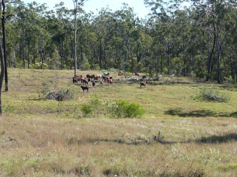 Lot 22  45 CORFIELD Drive, Eureka QLD 4660