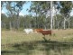 Lot 22  45 CORFIELD Drive, Eureka QLD 4660
