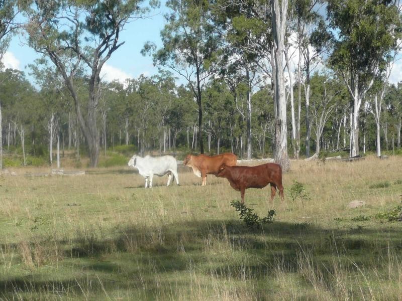 Lot 22  45 CORFIELD Drive, Eureka QLD 4660