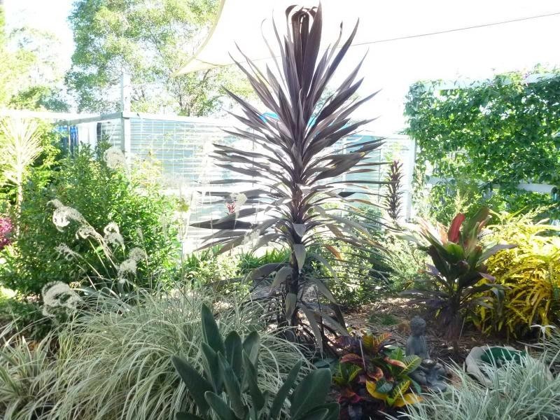 21 Leonard Court, Cordalba QLD 4660