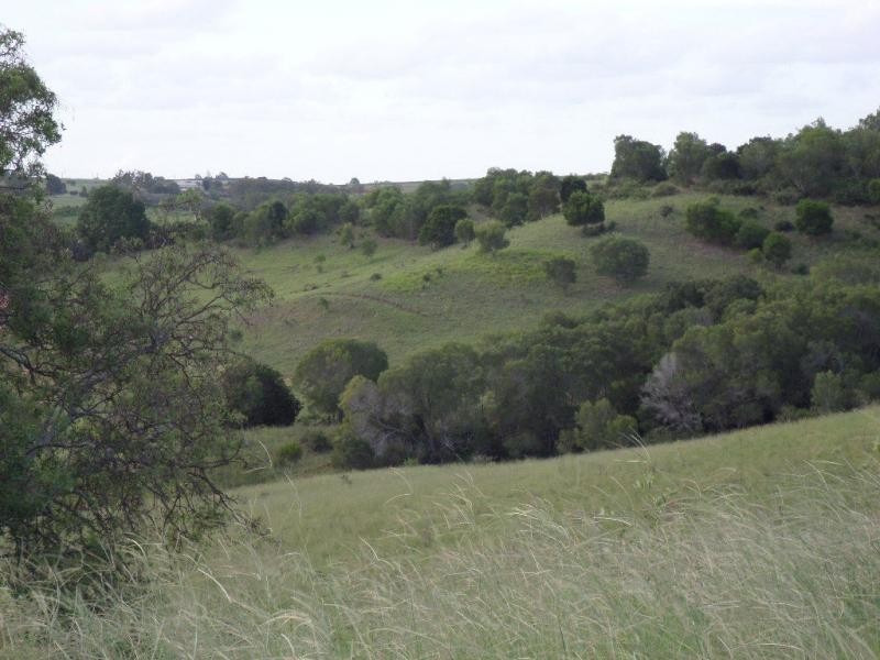 17 Sanctuary Court, Apple Tree Creek QLD 4660