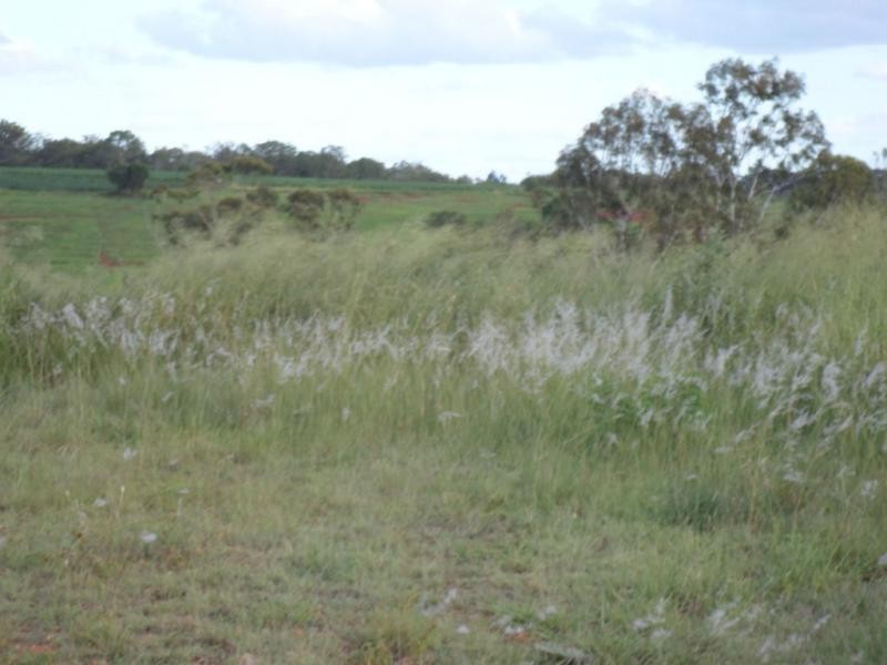 17 Sanctuary Court, Apple Tree Creek QLD 4660