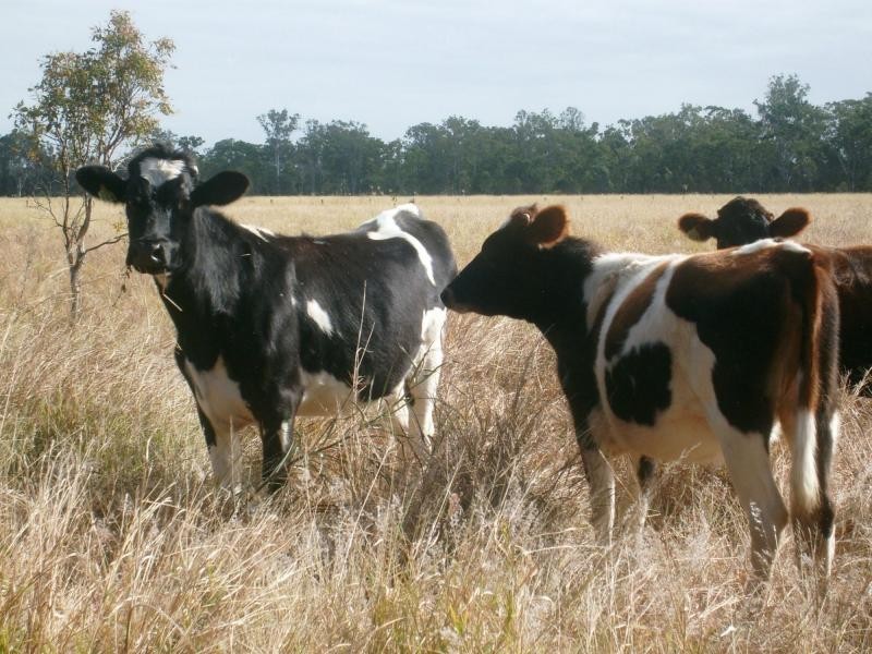Biggenden QLD 4621