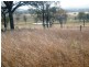 Biggenden QLD 4621