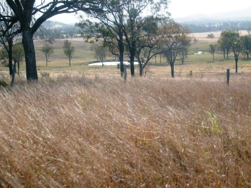 Biggenden QLD 4621