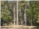 Cordalba QLD 4660