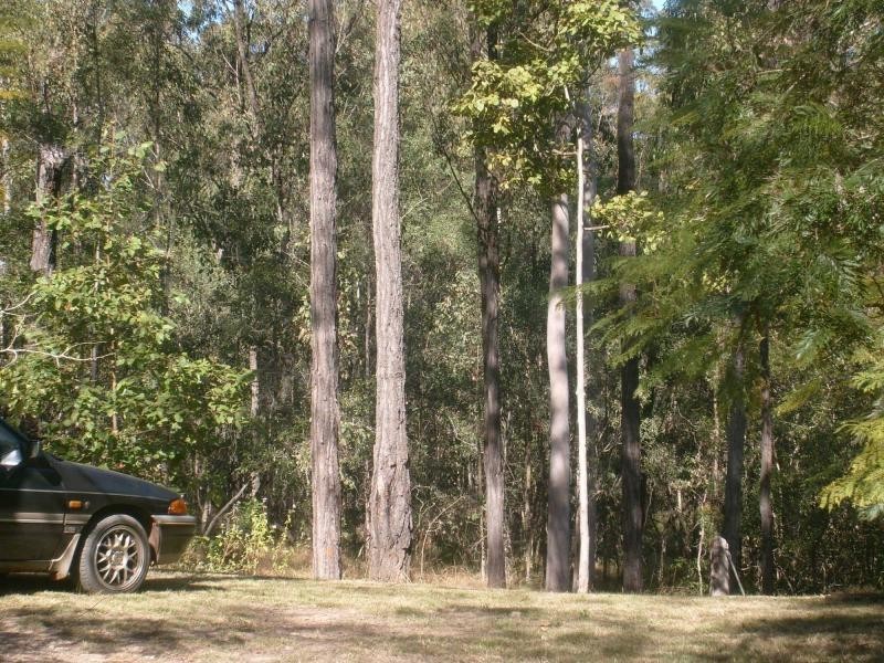 Cordalba QLD 4660