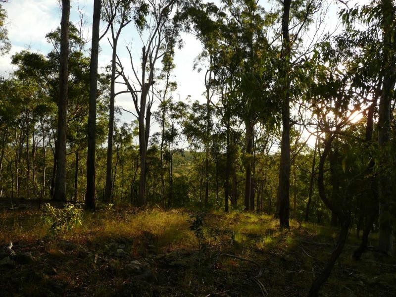 49 Corfield Drive, QLD, Booyal QLD 4671