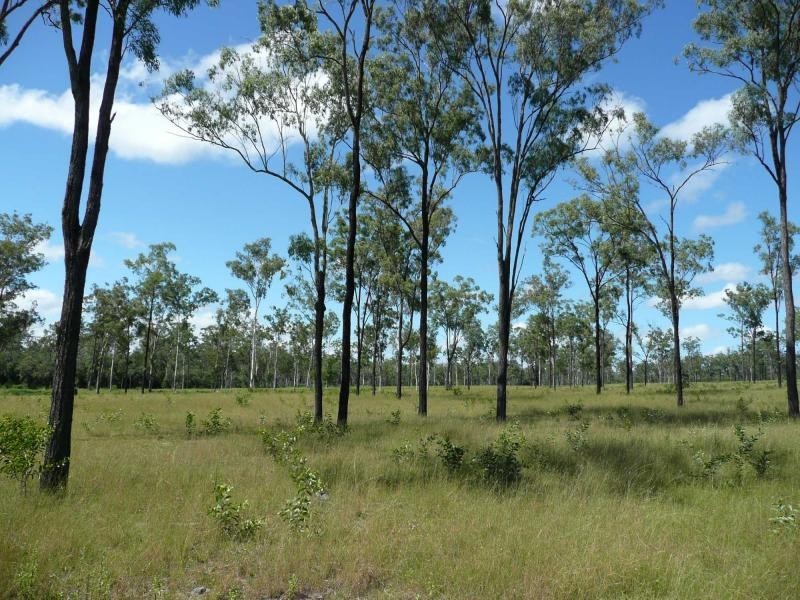 25 Corfield Drive, QLD, Booyal QLD 4671