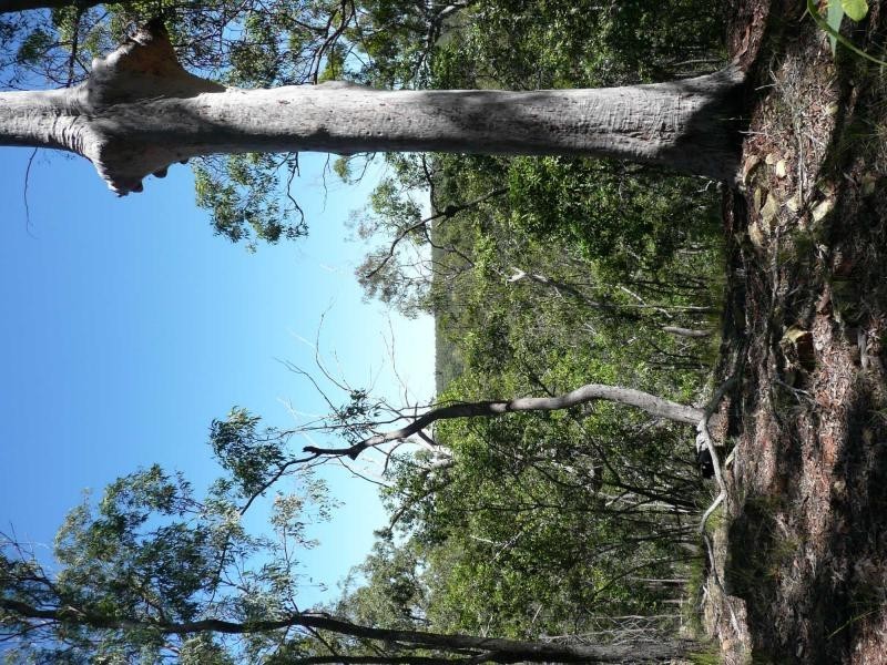 25 Corfield Drive, QLD, Booyal QLD 4671