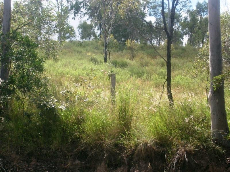 Woowoonga QLD 4621
