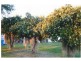 Gayndah QLD 4625