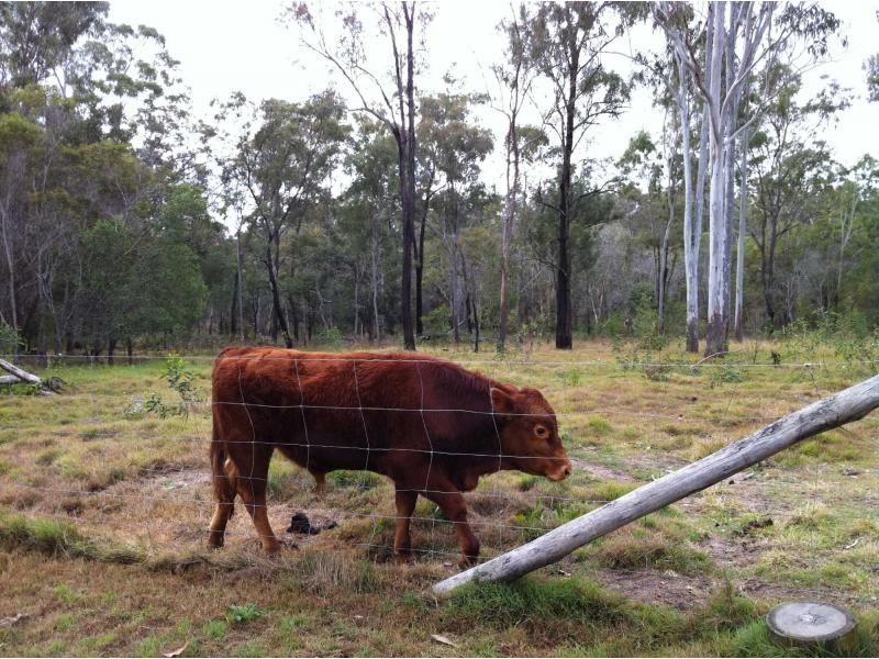 144 Faints Road, Apple Tree Creek QLD 4660