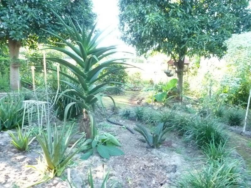 3 Pizzey Street, Childers QLD 4660