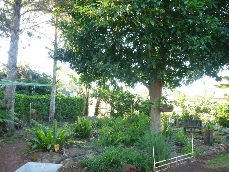 3 Pizzey Street, Childers QLD 4660