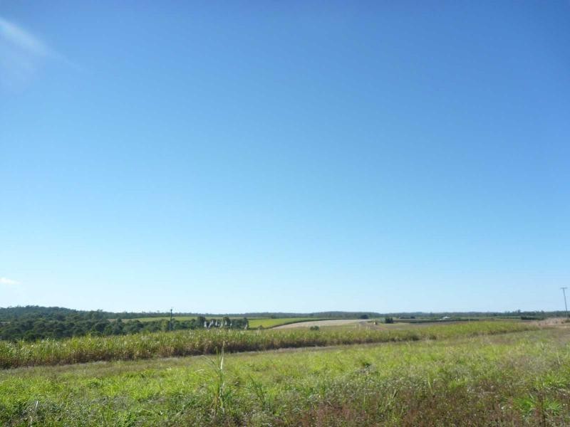 349 Knockroe Road, North Isis QLD 4660