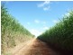 Childers QLD 4660