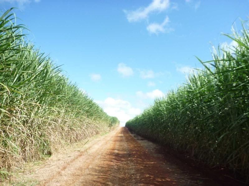 Childers QLD 4660