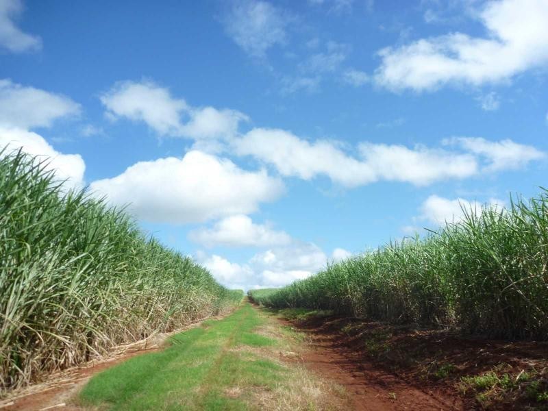 Childers QLD 4660