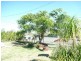 23 Kimber Street, Biggenden QLD 4621