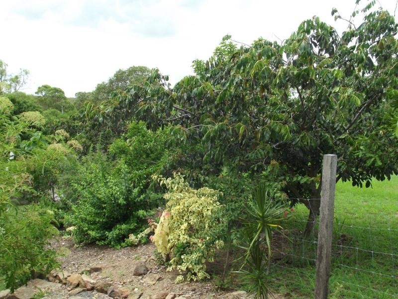 8 Andersen Street, Dallarnil QLD 4621