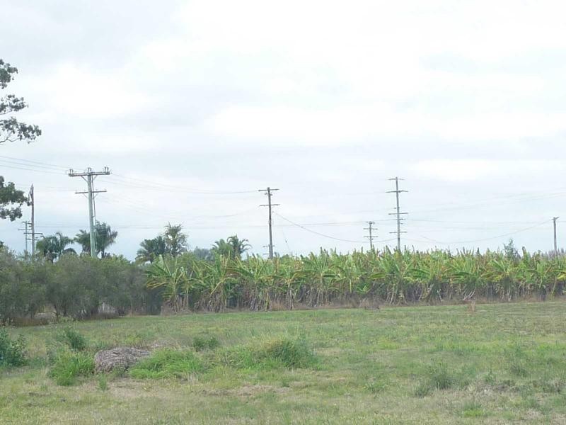 248 Logging Creek Road, Farnsfield QLD 4660