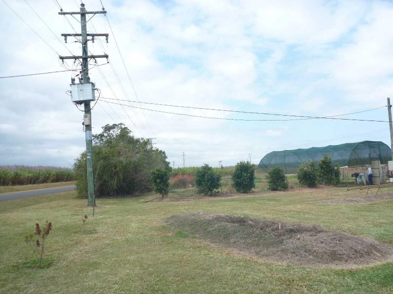 248 Logging Creek Road, Farnsfield QLD 4660