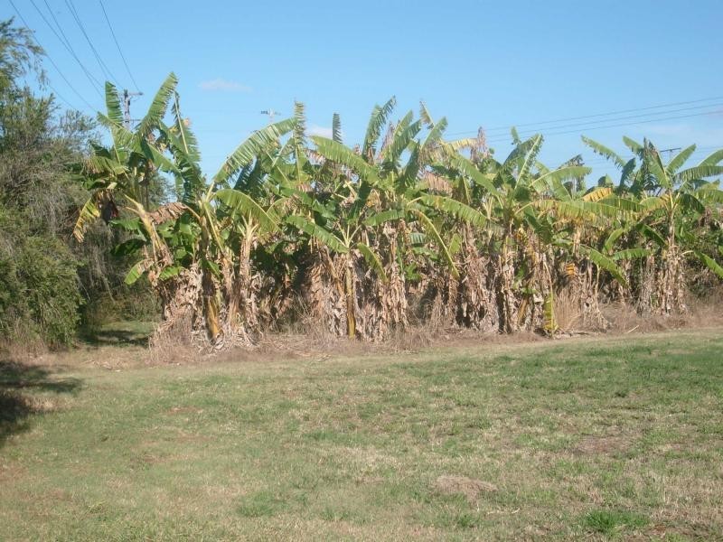 248 Logging Creek Road, Farnsfield QLD 4660