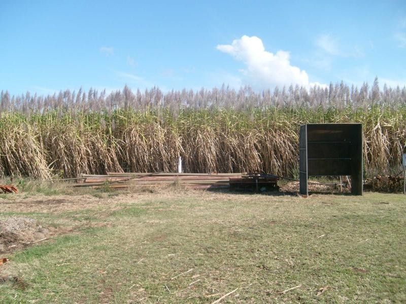 248 Logging Creek Road, Farnsfield QLD 4660