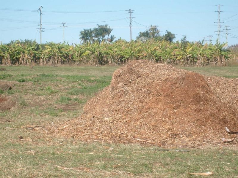 248 Logging Creek Road, Farnsfield QLD 4660