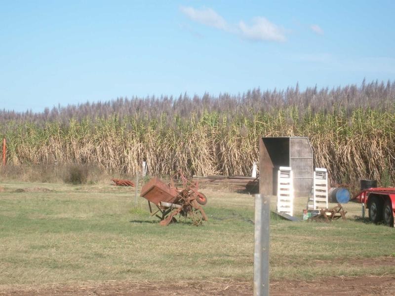 248 Logging Creek Road, Farnsfield QLD 4660