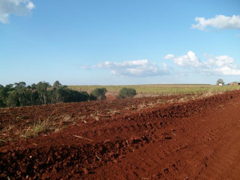 Isis Central QLD 4660