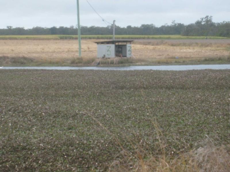 North Gregory QLD 4660