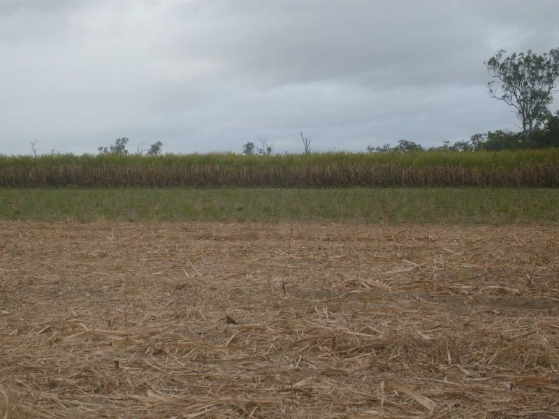 North Gregory QLD 4660